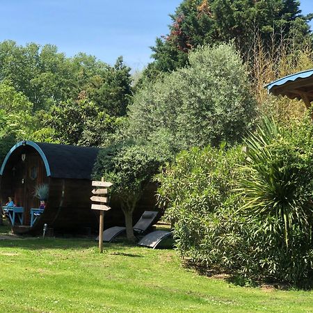 Bed and Breakfast La Bastide De Negra Montesquieu-Lauragais Exterior foto