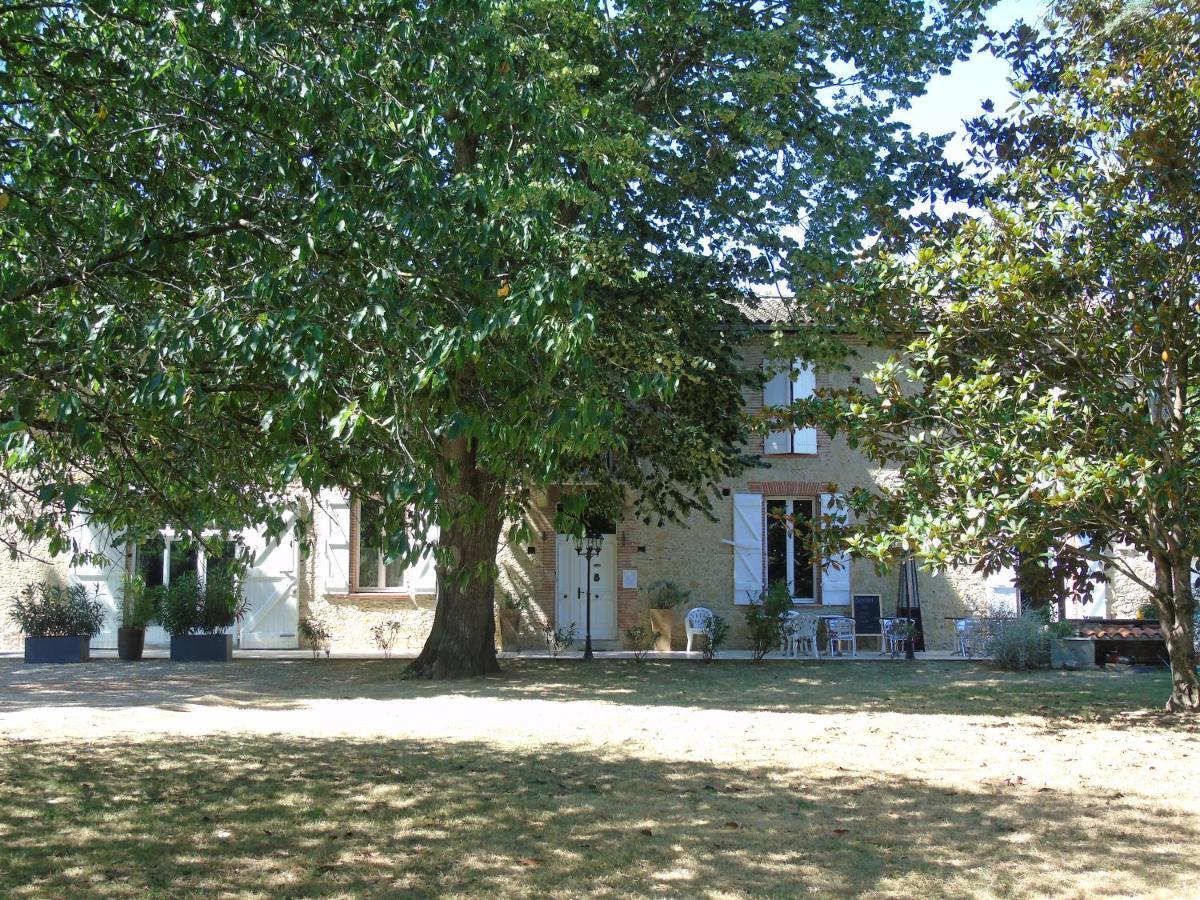 Bed and Breakfast La Bastide De Negra Montesquieu-Lauragais Exterior foto