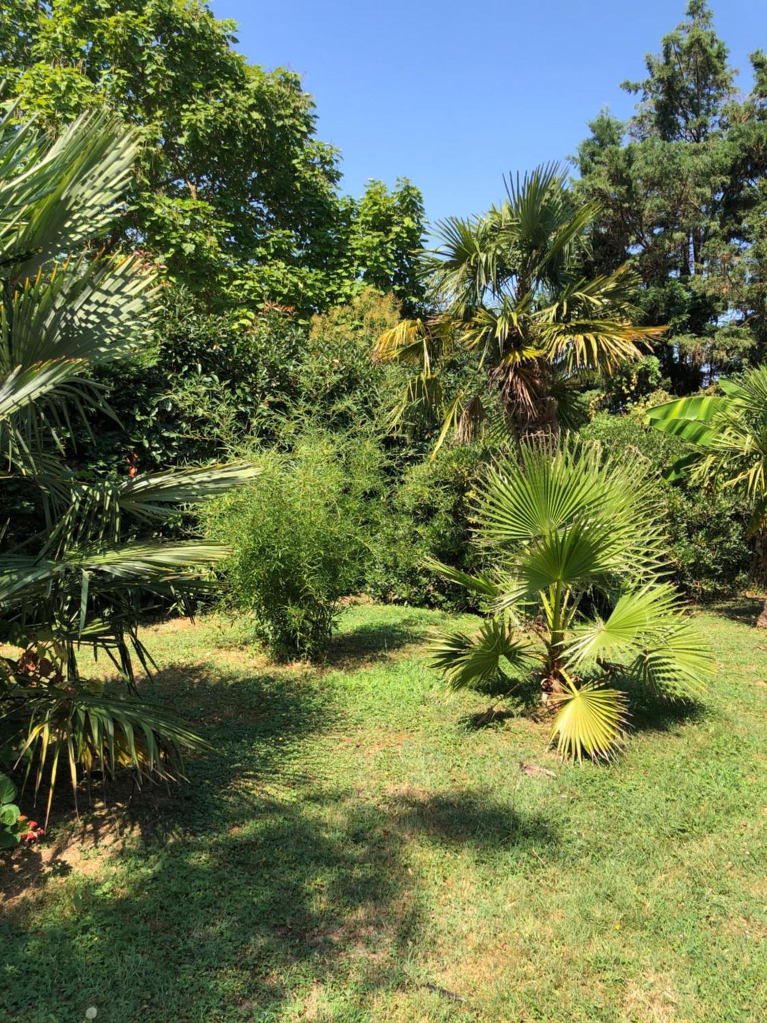 Bed and Breakfast La Bastide De Negra Montesquieu-Lauragais Exterior foto