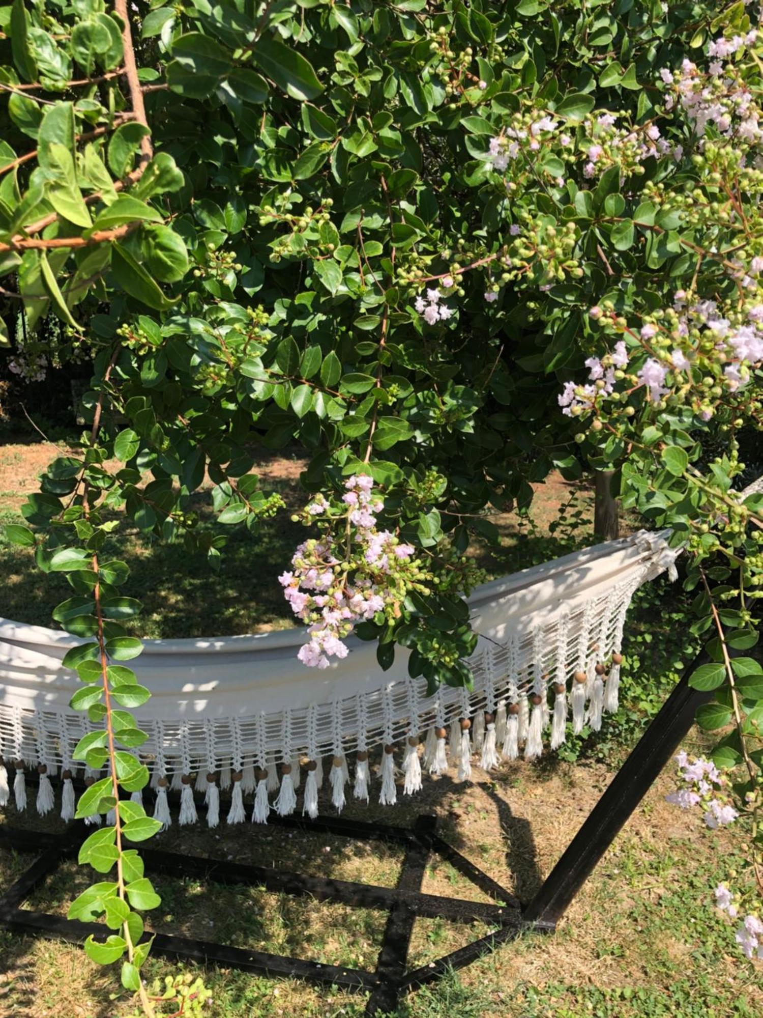 Bed and Breakfast La Bastide De Negra Montesquieu-Lauragais Exterior foto