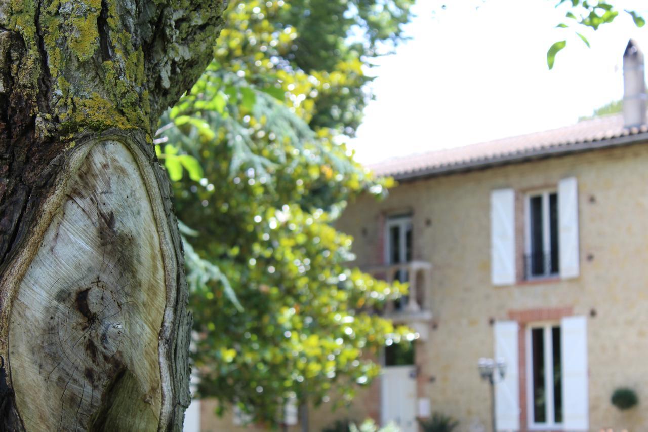Bed and Breakfast La Bastide De Negra Montesquieu-Lauragais Exterior foto