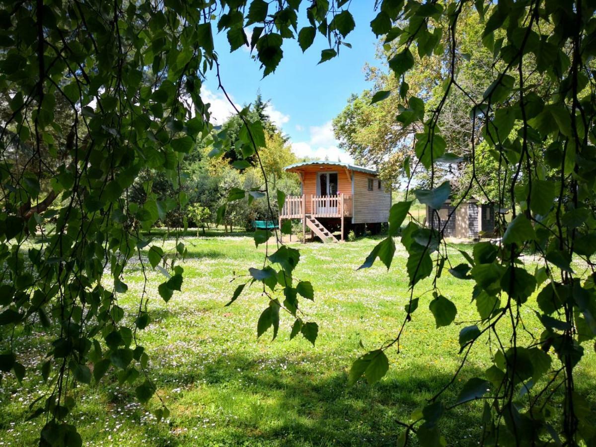 Bed and Breakfast La Bastide De Negra Montesquieu-Lauragais Exterior foto